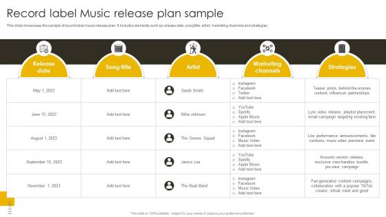 Record Label Music Release Plan Sample Revenue Boosting Marketing Plan Strategy SS V