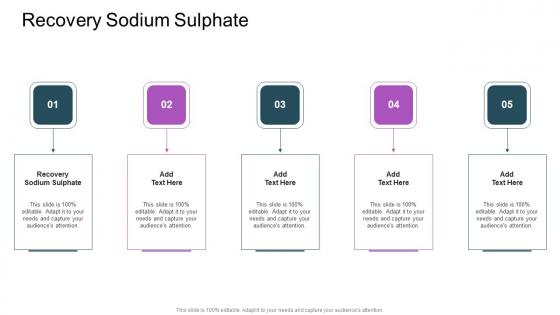 Recovery Sodium Sulphate In Powerpoint And Google Slides Cpb