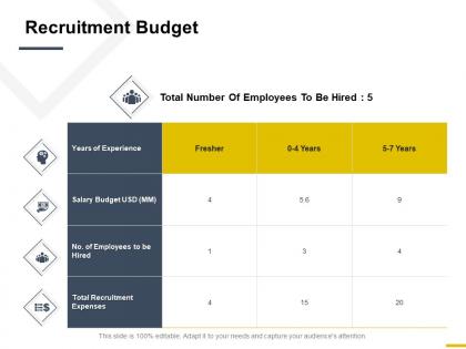 Recruitment budget experience ppt powerpoint presentation show background designs