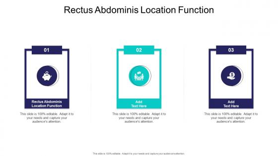 Rectus Abdominis Location Function In Powerpoint And Google Slides Cpb