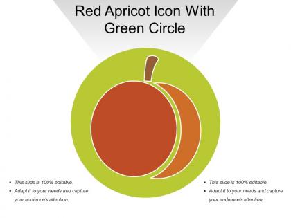 Red apricot icon with green circle