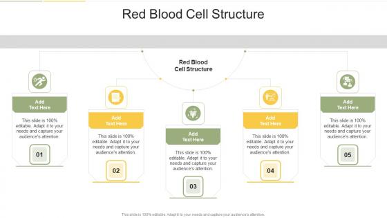 Red Blood Cell Structure In Powerpoint And Google Slides Cpb