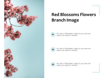 Red blossoms flowers branch image