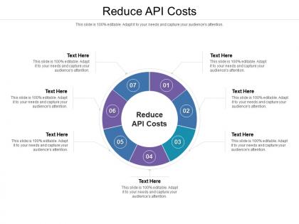 Reduce api costs ppt powerpoint presentation styles slides cpb