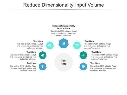 Reduce dimensionality input volume ppt powerpoint presentation model portrait cpb