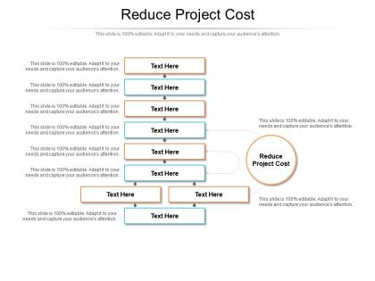 Reduce project cost ppt powerpoint presentation outline rules cpb