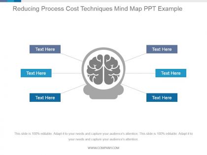 Reducing process cost techniques mind map ppt example