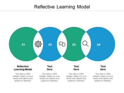 Reflective learning model ppt powerpoint presentation icon picture cpb