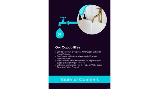 Regional Water Supply Extension Project Table Of Contents One Pager Sample Example Document