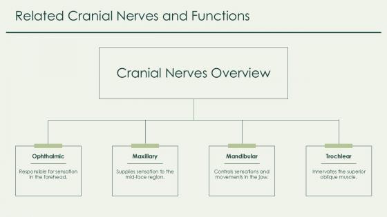 Cranial Nerves Functioning Powerpoint Presentation And Slides Ppt Cranial Nerves Functioning Powerpoint Presentation And Slides Ppt