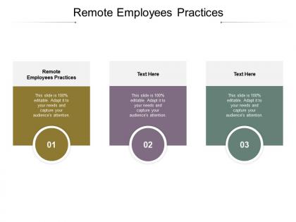 Remote employees practices ppt powerpoint presentation file slide portrait cpb