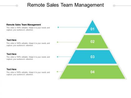 Remote sales team management ppt powerpoint presentation gallery infographic template cpb