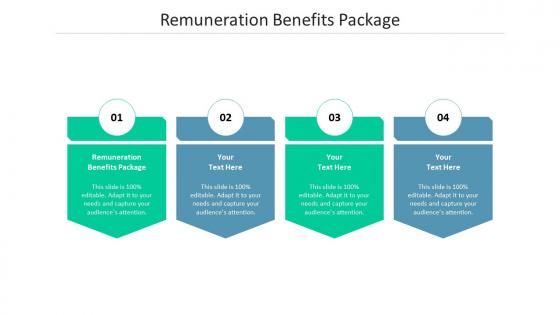 Remuneration benefits package ppt powerpoint presentation styles icons cpb