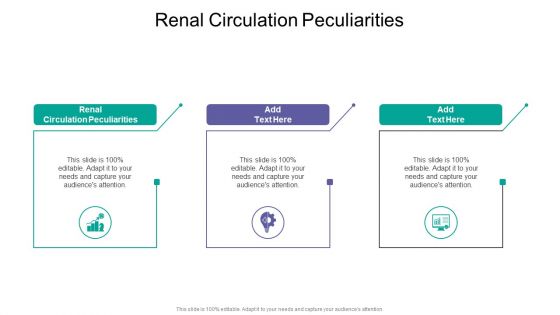 Renal Circulation Peculiarities In Powerpoint And Google Slides Cpb