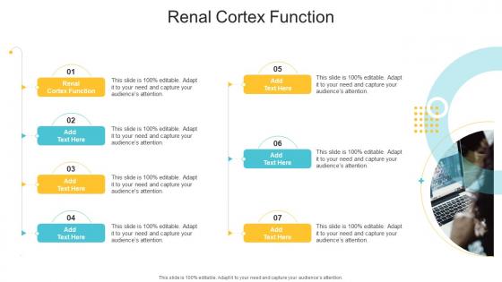 Renal Cortex Function In Powerpoint And Google Slides Cpb