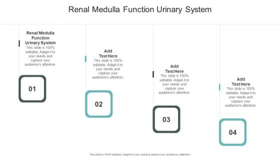 Renal Medulla Function Urinary System In Powerpoint And Google Slides Cpb