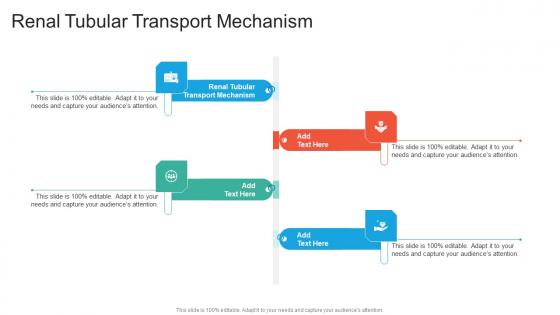 Renal Tubular Transport Mechanism In Powerpoint And Google Slides Cpb