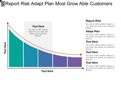 Report risk adapt plan most grow able customers