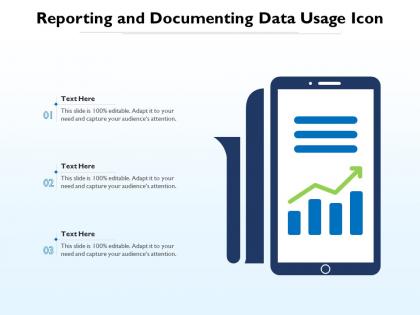 Reporting and documenting data usage icon