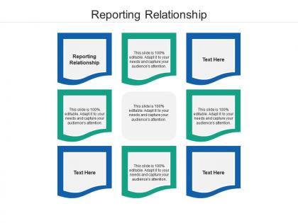 Reporting relationship ppt powerpoint presentation ideas visual aids cpb