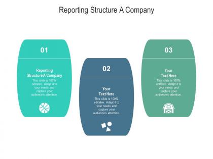 Reporting structure a company ppt powerpoint presentation pictures graphics cpb
