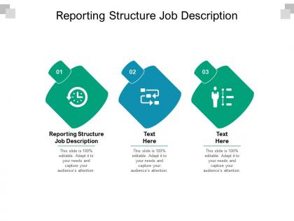 Reporting structure job description ppt powerpoint presentation infographic template files cpb