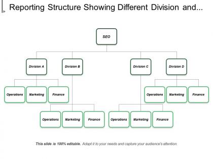 Reporting structure showing different division and operations marketing finance