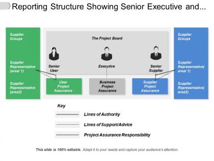 Reporting structure showing senior executive and supplier