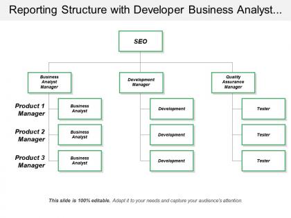 Reporting structure with developer business analyst tester