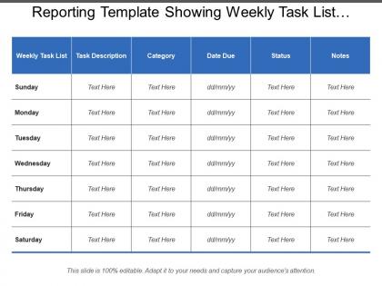 Reporting template showing weekly task list description category status notes