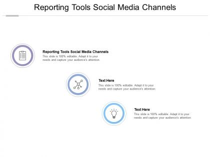 Reporting tools social media channels ppt powerpoint presentation pictures graphics cpb