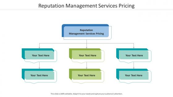 Reputation management services pricing ppt powerpoint presentation slides design inspiration cpb