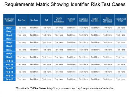 Requirements matrix showing identifier risk test cases