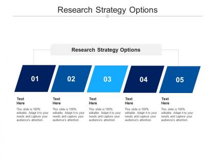 Research strategy options ppt powerpoint presentation summary diagrams cpb