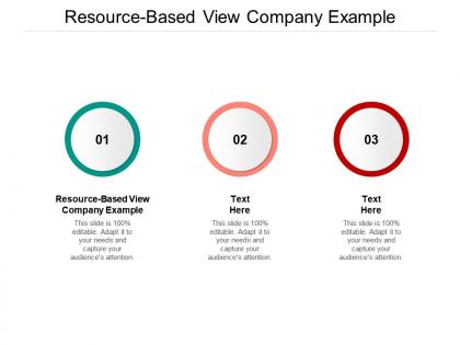 Resource based view company example ppt powerpoint presentation show summary cpb