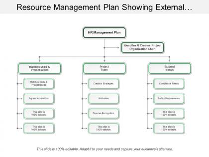 Resource management plan showing external issues and project needs