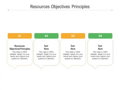Resources objectives principles ppt powerpoint presentation infographics microsoft cpb