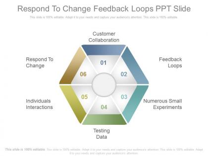 Respond to change feedback loops ppt slide