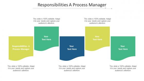 Responsibilities a process manager ppt powerpoint presentation outline samples cpb