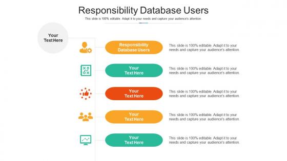 Responsibility database users ppt powerpoint presentation show designs cpb