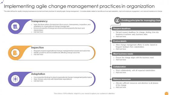 Responsive Change Management Implementing Agile Change Management CM SS V