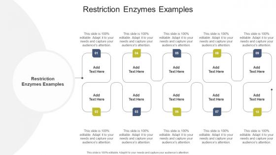Restriction Enzymes Examples In Powerpoint And Google Slides Cpb
