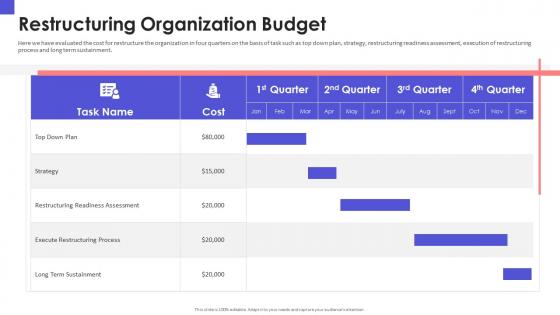 Restructuring organization budget organizational chart and business model restructuring