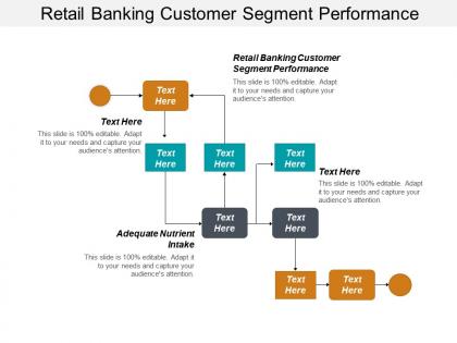 Retail banking customer segment performance adequate nutrient intake cpb