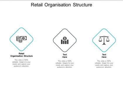 Retail organisation structure ppt powerpoint presentation gallery visuals cpb