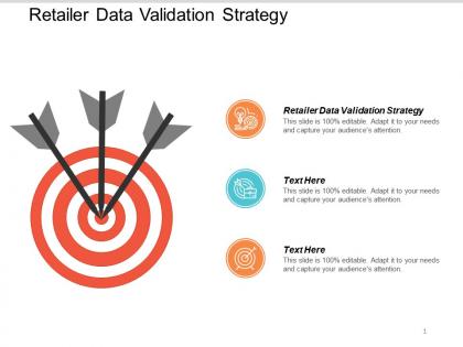 Retailer data validation strategy ppt powerpoint presentation summary visuals cpb