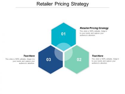 Retailer pricing strategy ppt powerpoint presentation icon deck cpb