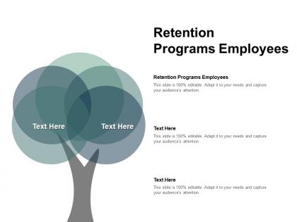 Retention programs employees ppt powerpoint presentation professional slide cpb