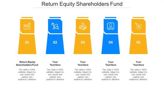 Return Equity Shareholders Fund Ppt Powerpoint Presentation Model Infographic Cpb