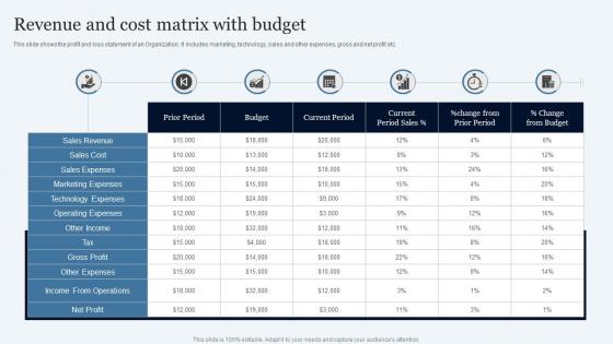 Revenue And Cost Matrix With Budget
